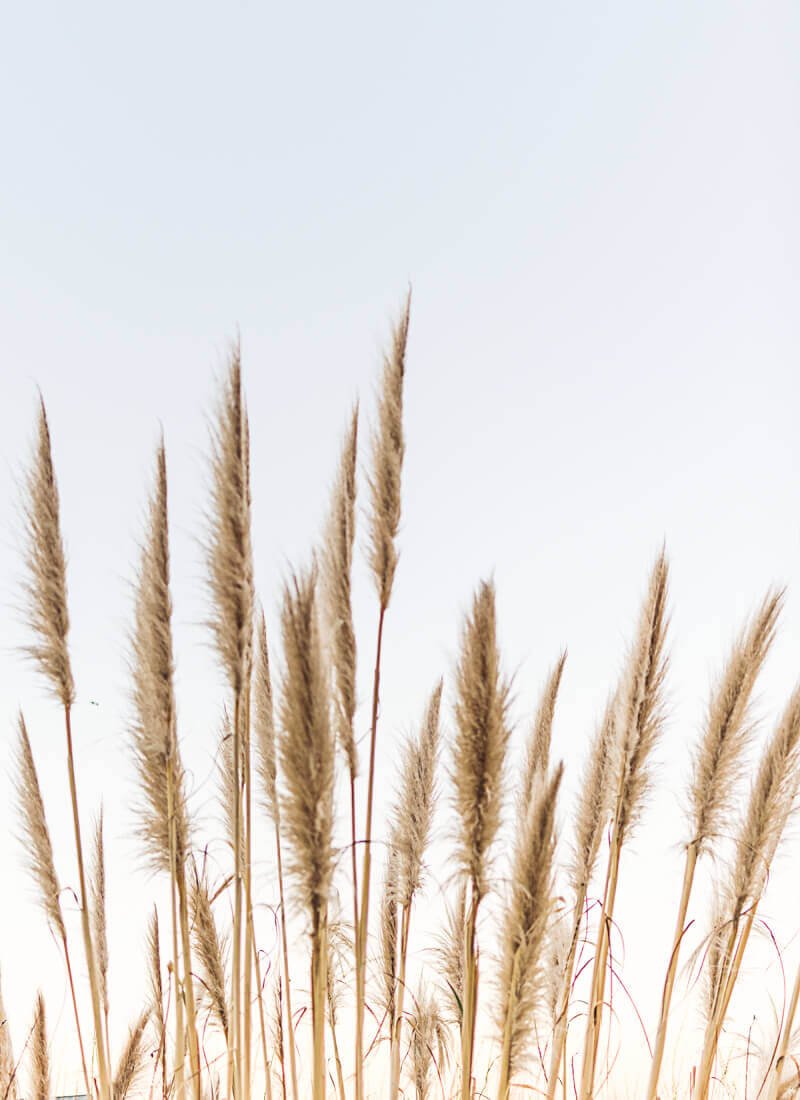 non-profit-04 non profit 04