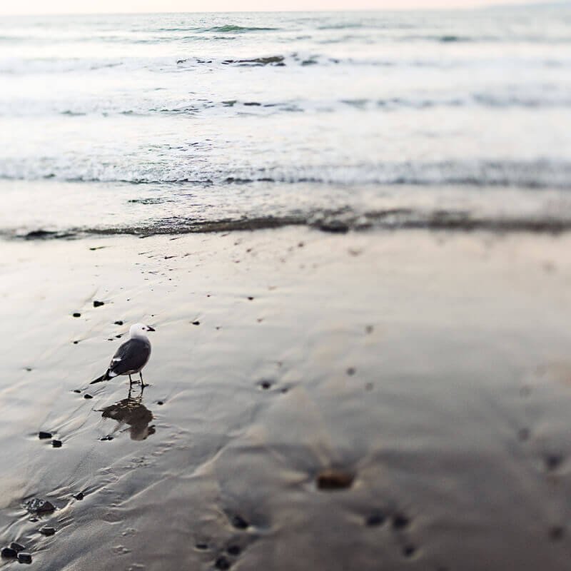 non-profit-09 non profit 09